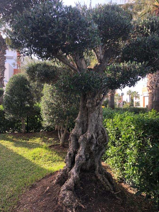Vera Natura Apartamento Los Olivos Exterior foto